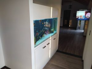 DISEÑO DE ACUARIOS A MEDIDA