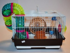 Jaula para hamster c/tubo. SIN CASITA